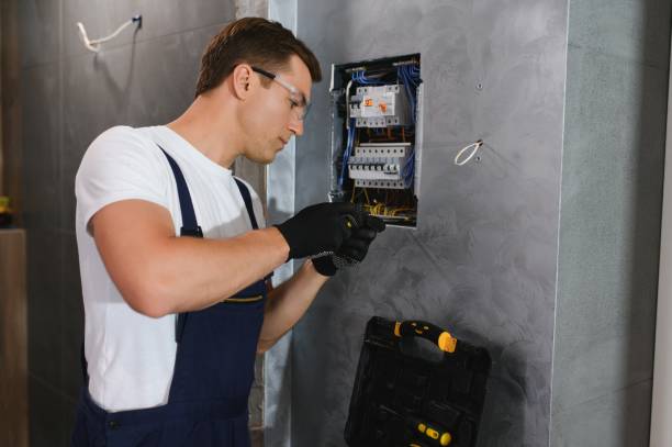 Best Electric Panel Repair  in Ridley Rk, PA